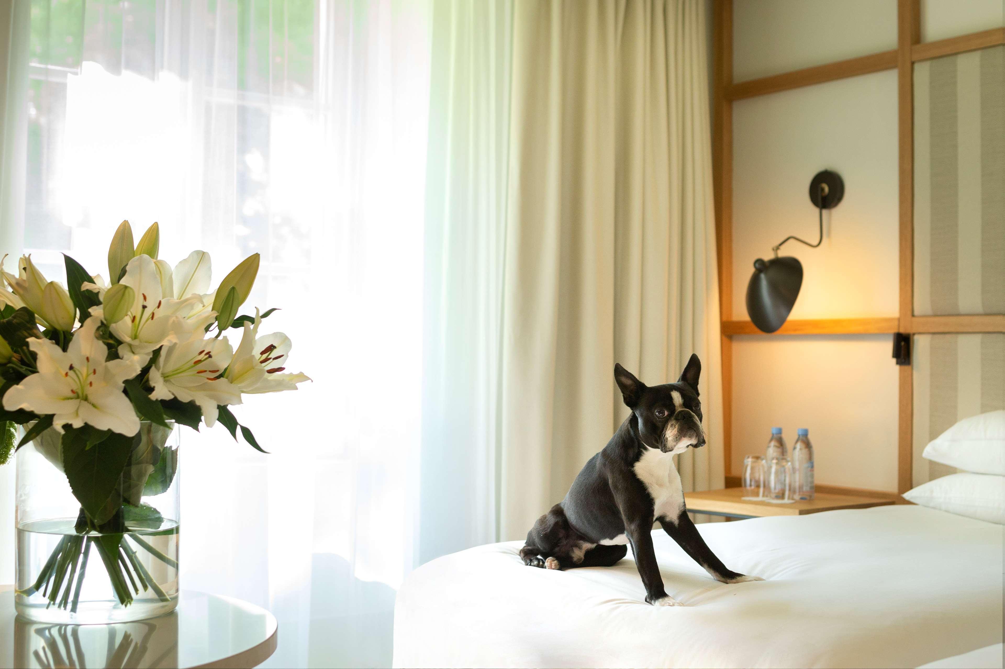 Hyatt Regency Chantilly Vineuil-Saint-Firmin Exterior foto